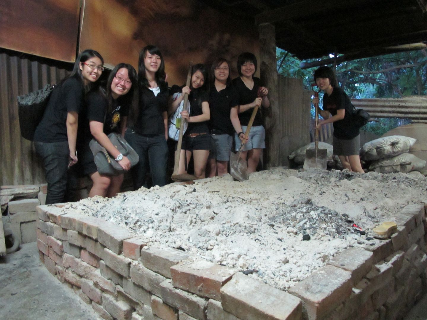 tortoises of the world essay tortoises of the world essay