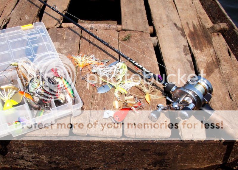 Cần tìm mối chuyển hàng Thailand