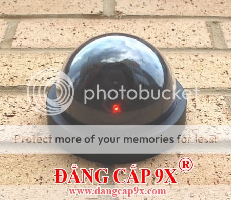 dome-dummy-decoy-cctv-camera-L.jpg