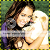 miley10.png Miley Cyrus Icons image by myromance_4_hollywoodboys