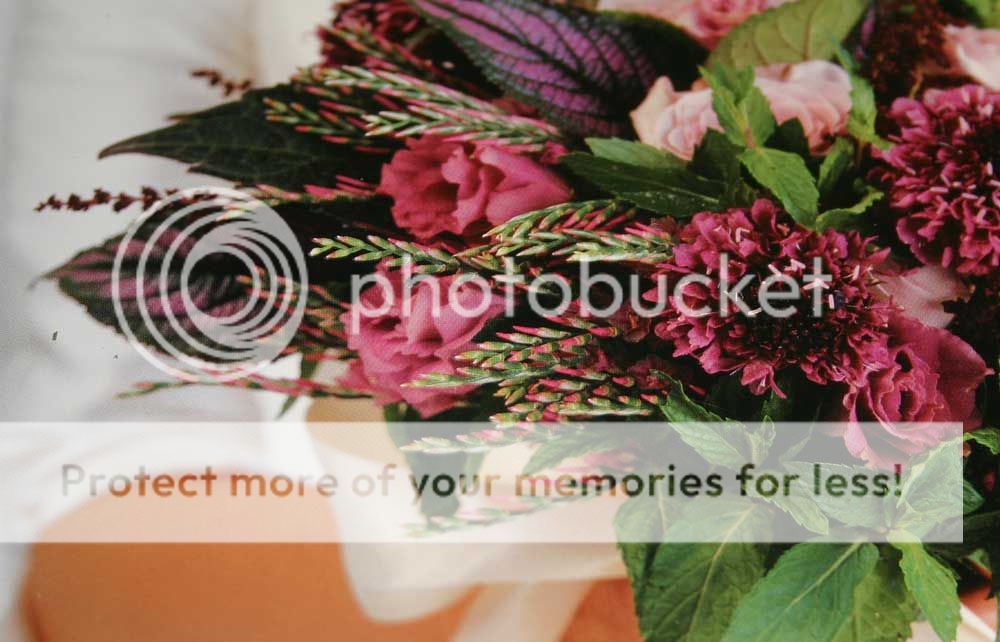  photo spiky_pink.jpg